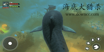 海底大猎杀正版下载手机版中文免费安装截图