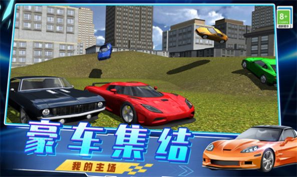 急速飙车3D游戏最新免费版截图