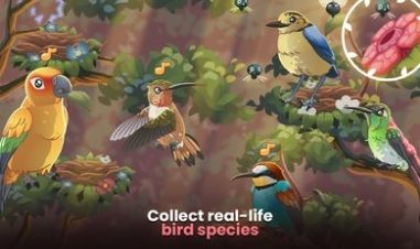 鸟类世界游戏安卓版截图