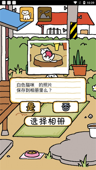 猫咪后院中文版截图