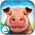 生猪养殖场模拟经营游戏
